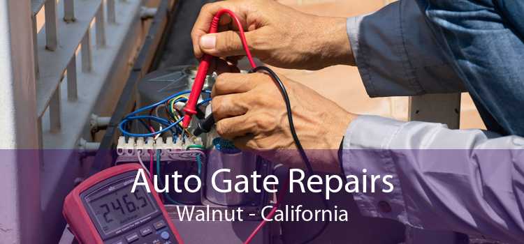 Auto Gate Repairs Walnut - California