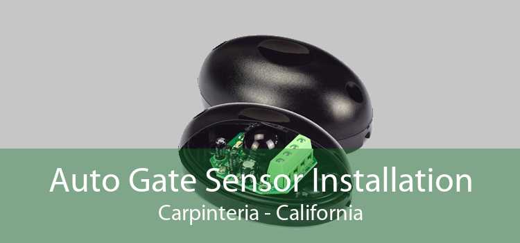 Auto Gate Sensor Installation Carpinteria - California