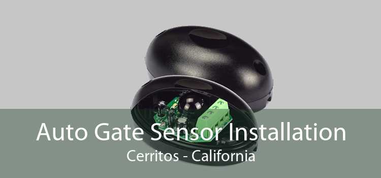 Auto Gate Sensor Installation Cerritos - California