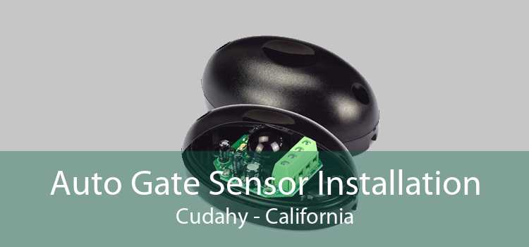 Auto Gate Sensor Installation Cudahy - California