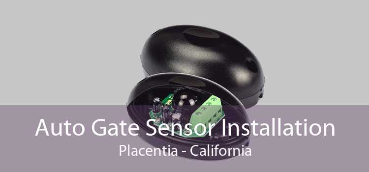 Auto Gate Sensor Installation Placentia - California