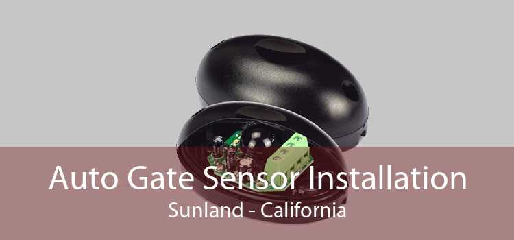 Auto Gate Sensor Installation Sunland - California