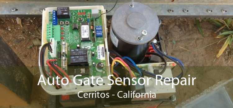 Auto Gate Sensor Repair Cerritos - California