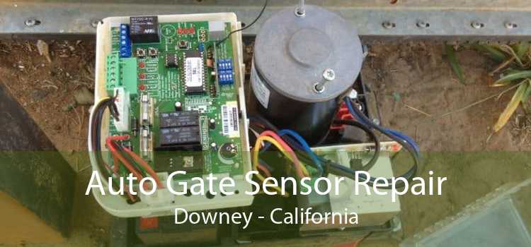 Auto Gate Sensor Repair Downey - California