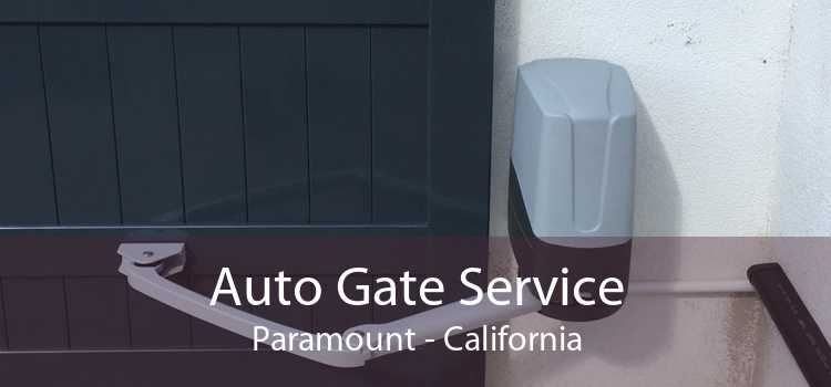 Auto Gate Service Paramount - California